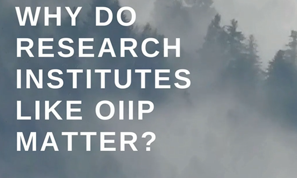 Why do research institutes like the oiip matter? 