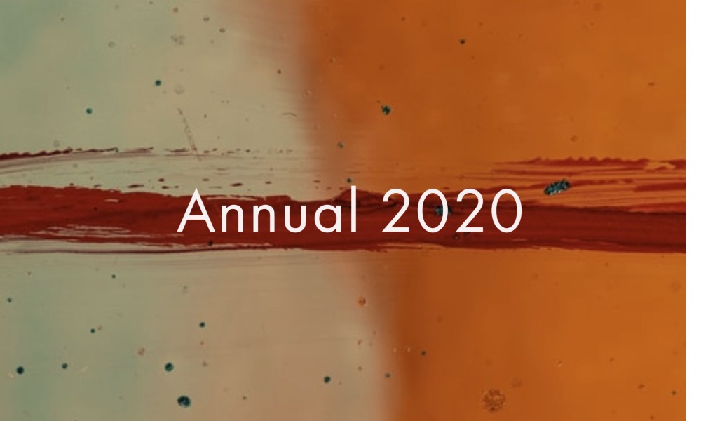 Annual 2020 